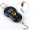 10g-45Kg Portable LCD Display Electronic Luggage Hook Digital Scale supplier