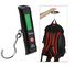 10g/50kg LCD Display Digital Portable Travel Luggage Fishing Weight Hook Hanging Scale supplier