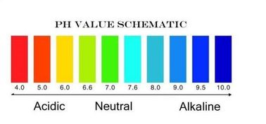 PH009 pen type PH meter supplier